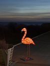 Flamingo bordslampa