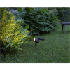 Powerspot solcells spotlight